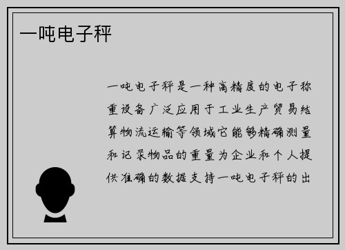 一吨电子秤