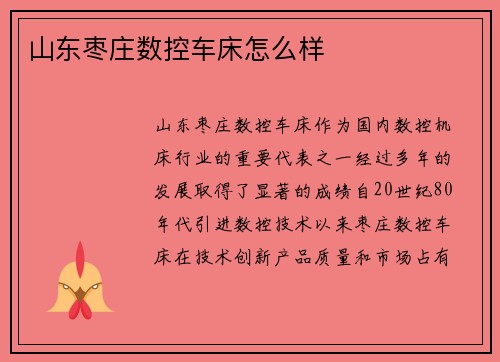 山东枣庄数控车床怎么样